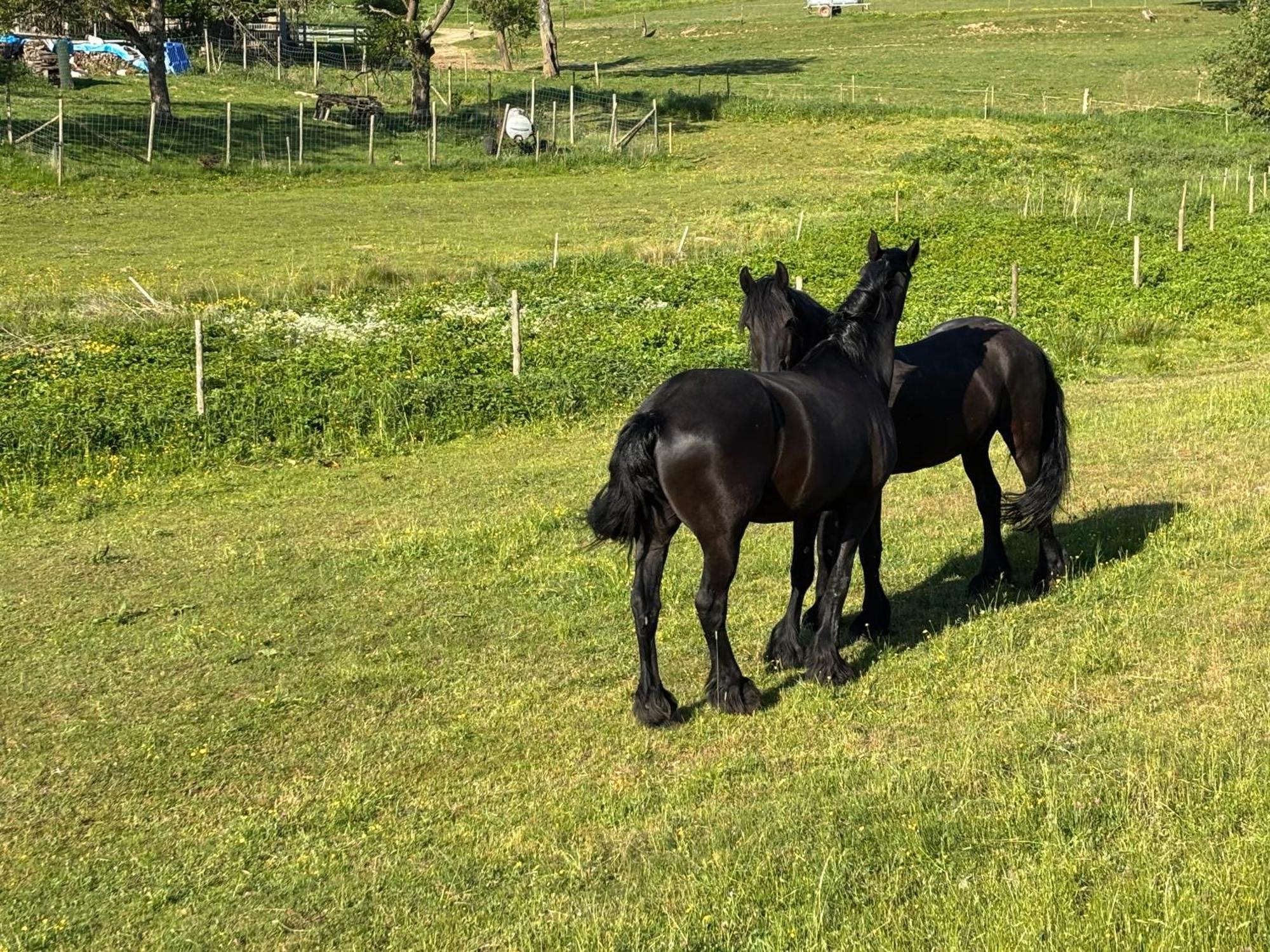 Ferienwohnung Zur Scheune Lind  Exteriör bild